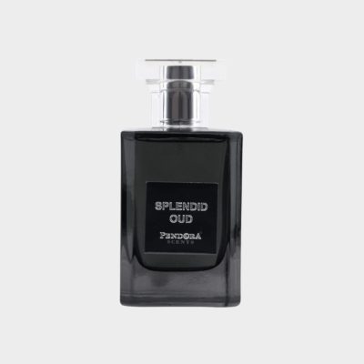Splendid Oud Paris Corner