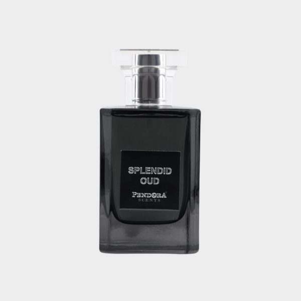 Splendid Oud Paris Corner